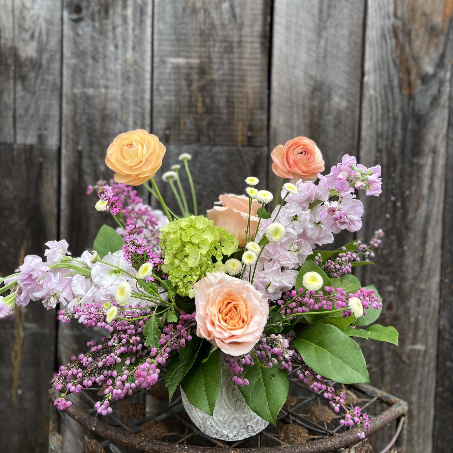 Spring Blooms